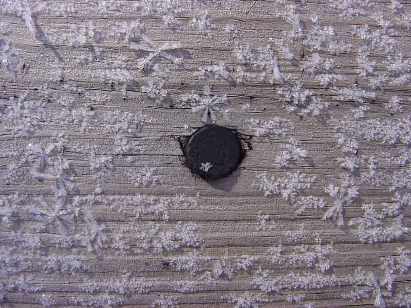 Closeup of frost crystals on the wooden deck rail at my mother's house - the dark spot in the middle is a nail head