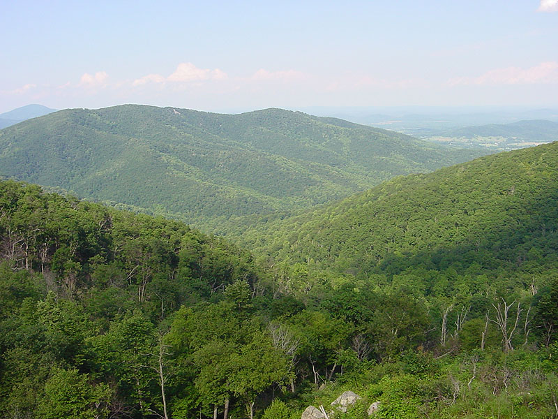 View of the Shenandoah Valley, June, 2003, taken from the Skyline Drive